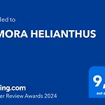 Dimora Helianthus *