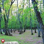 Dimora Helianthus Διαμέρισμα *