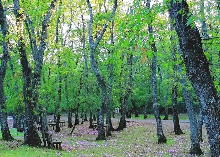 Dimora Helianthus Apartamento *
